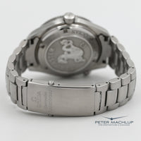 Omega Seamaster Planet Ocean