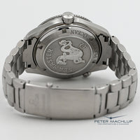 Omega Seamaster Planet Ocean
